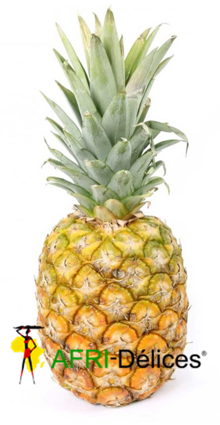 Image du produit