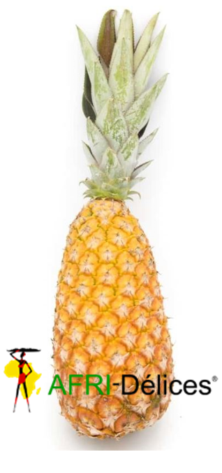 Image du produit